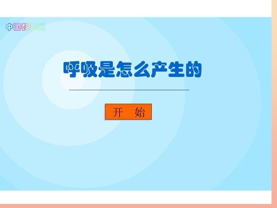 2019春四年级科学下册 2.1《我们在呼吸》课件3 大象版.ppt_第5页