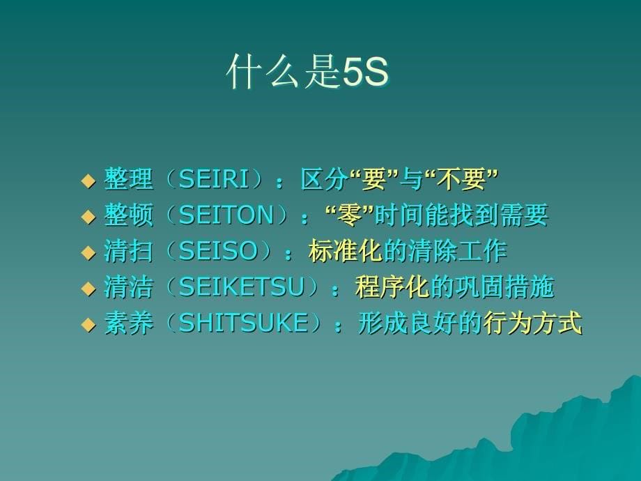 5s 现代企业管理_第5页