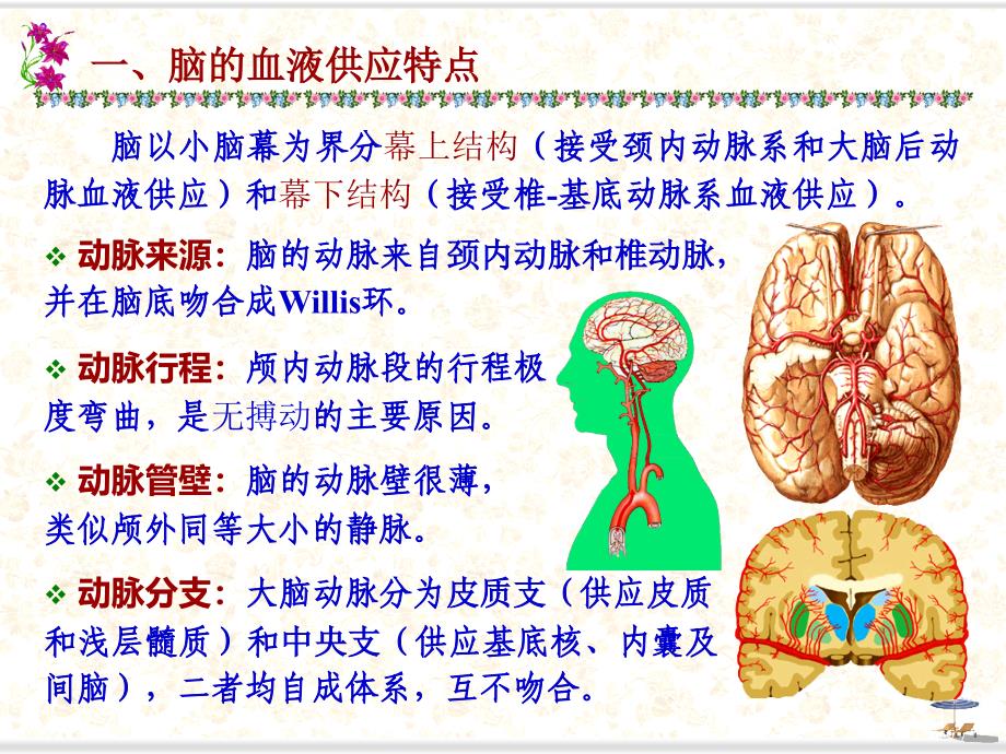 脑血管应用解剖-断层_第4页