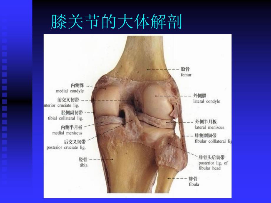 膝关节常见病的诊断与治疗_第3页