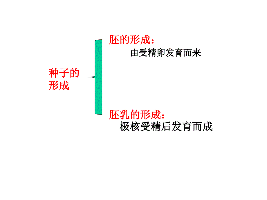 种子和果实素材课件_第3页