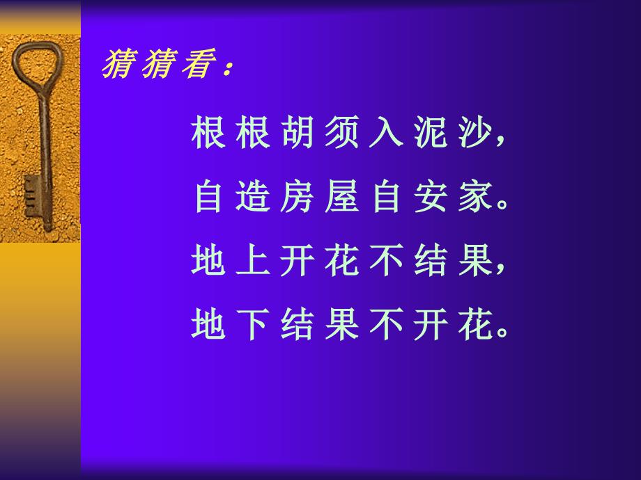 根根胡须入泥沙自造房屋自安家地上花不结果地下结_第1页