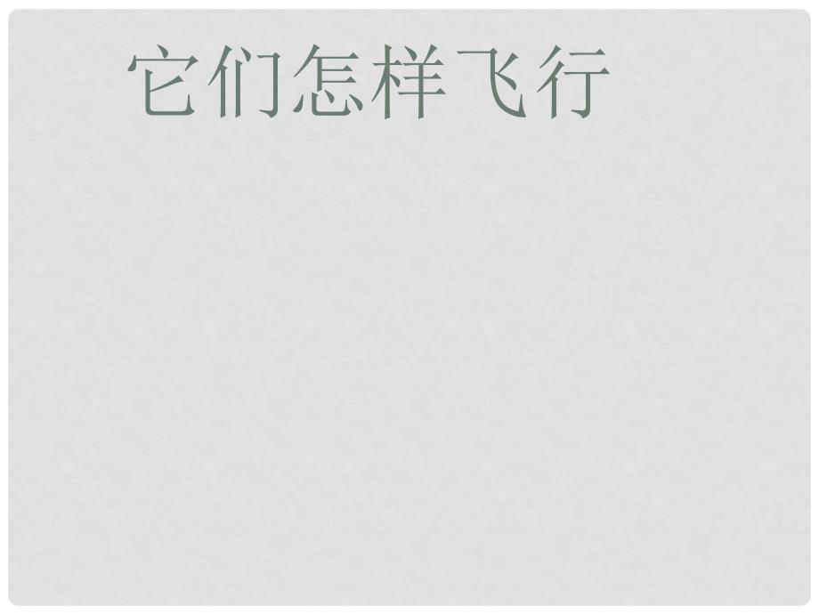 四年级科学下册 7.2《它们怎样飞行》课件2 大象版_第1页