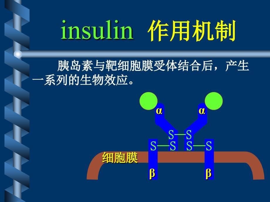 胰岛素及口服降血糖药合理应用课件_第5页