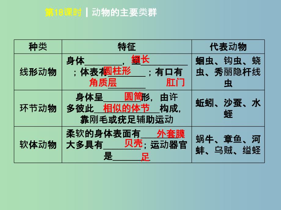 中考生物第五单元生物圈中的其他生物第18课时动物的主要类群课件.ppt_第3页