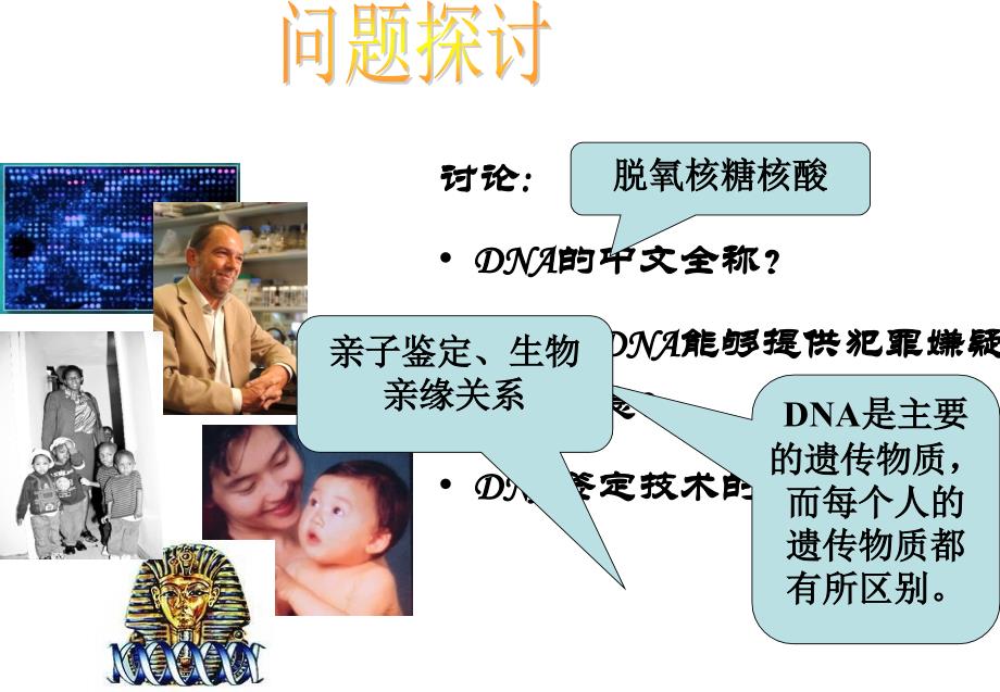 遗传信息的携带者──核酸.ppt_第2页