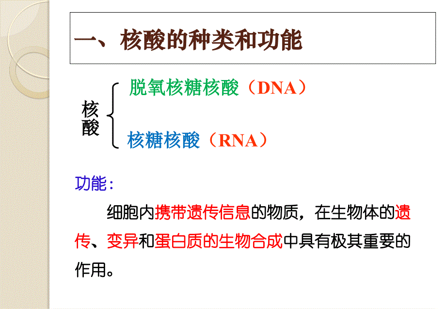 遗传信息的携带者──核酸.ppt_第3页