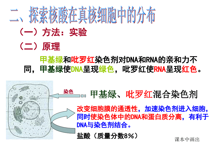 遗传信息的携带者──核酸.ppt_第4页