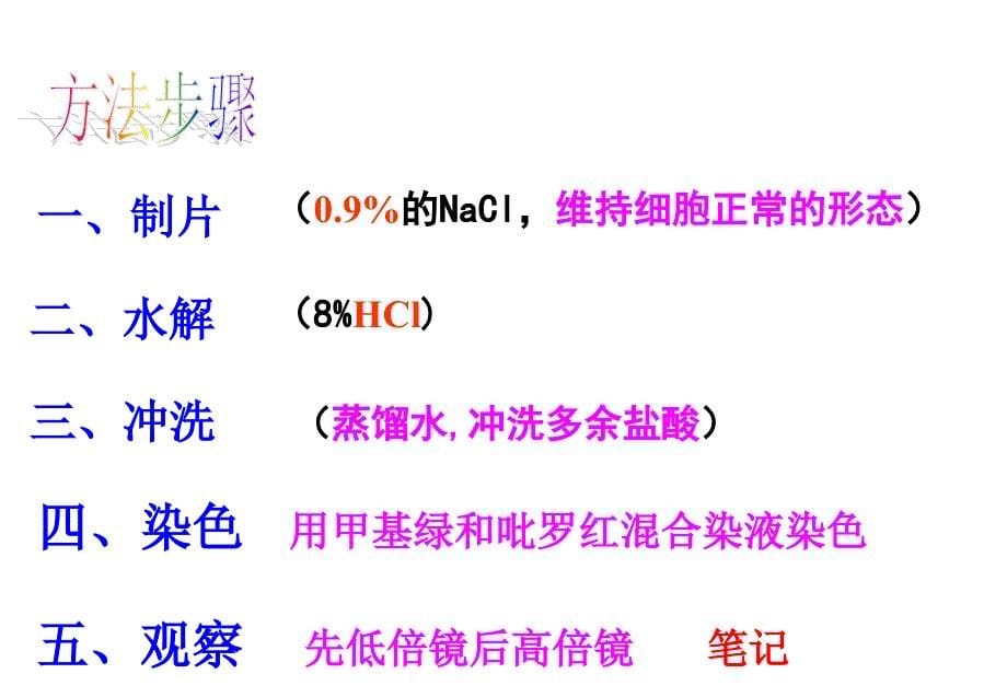 遗传信息的携带者──核酸.ppt_第5页