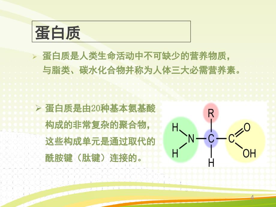 生物活性肽与健康课堂PPT_第4页