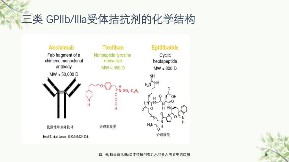 血小板糖蛋白IIbIIIa受体拮抗剂在介入非介入患者中的应用课件_第5页