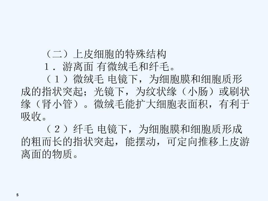 解剖学课程基本组织课件_第5页