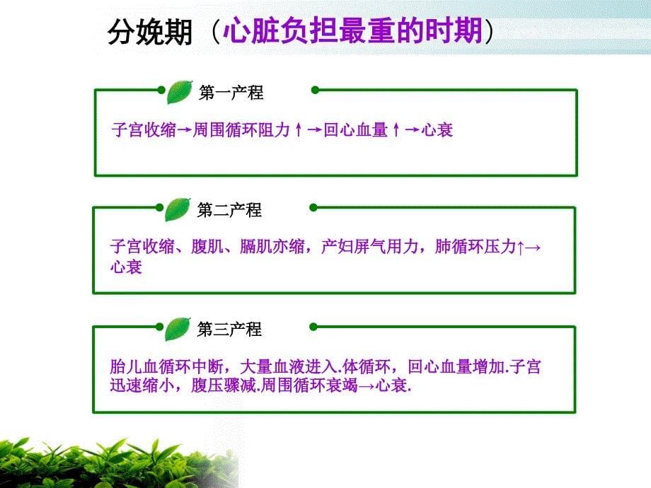 妊娠期合并心脏病护理查房.ppt_第5页