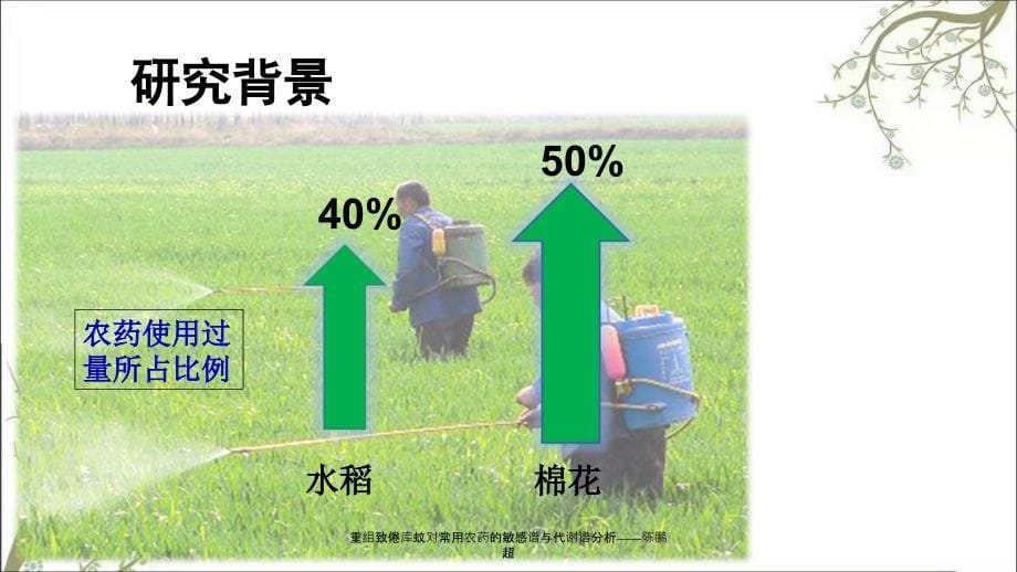 重组致倦库蚊对常用农药的敏感谱与代谢谱分析陈鹏超_第5页