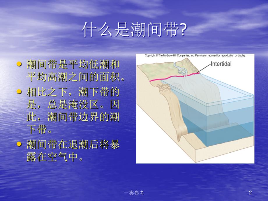 第7章潮间带生物#高等教育_第2页