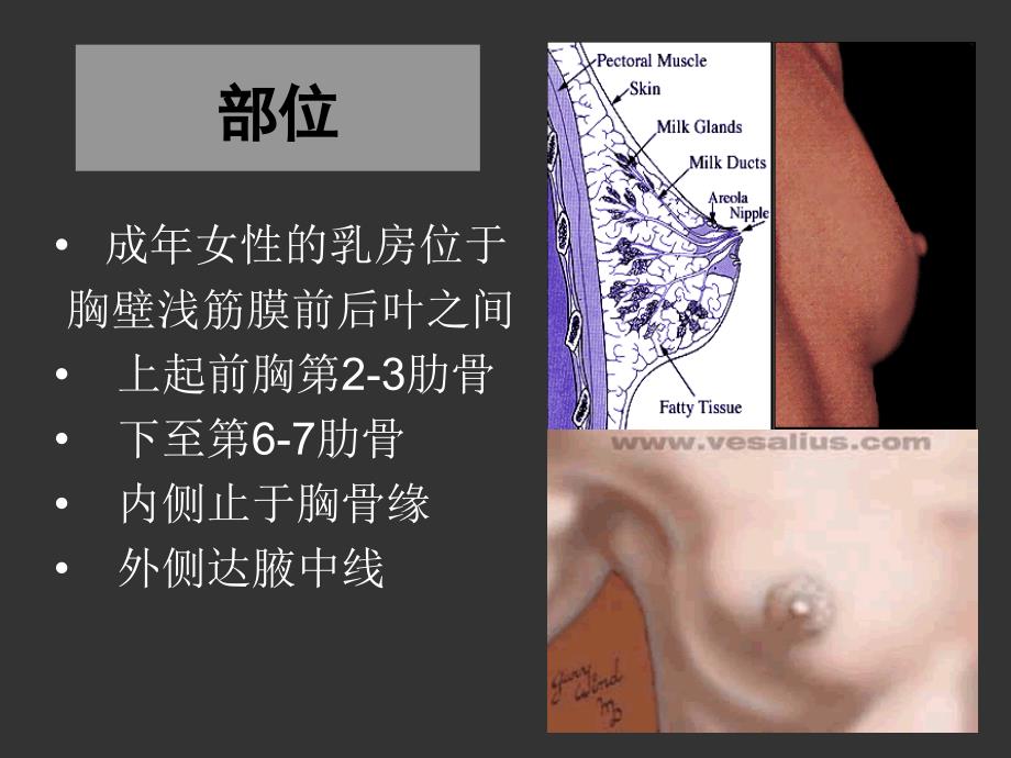 乳房疾病概说_第4页