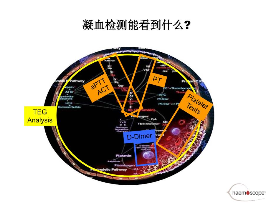 TEG血栓弹力图试验临床使用介绍_第3页