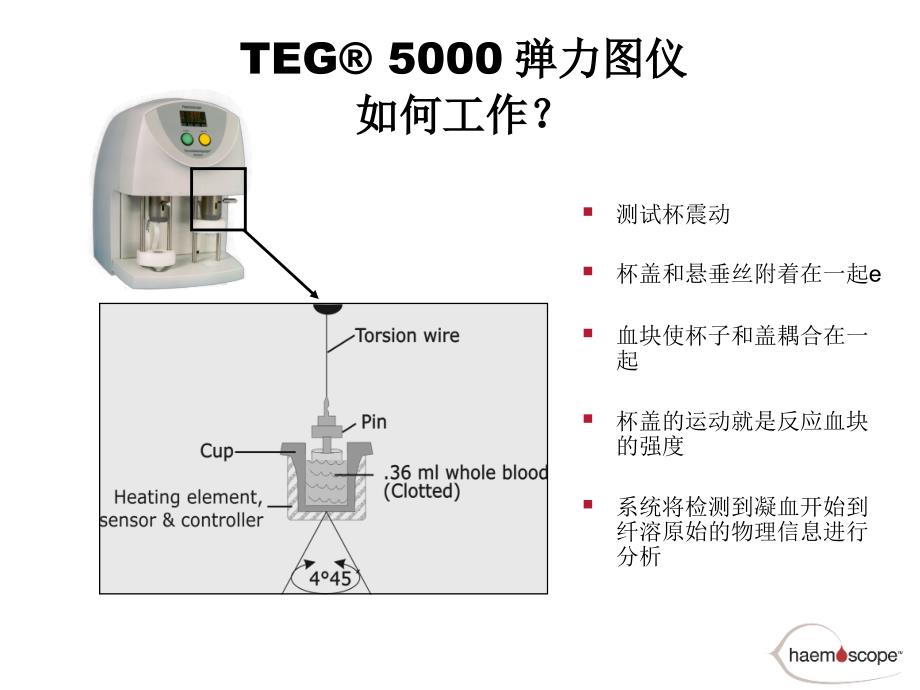 TEG血栓弹力图试验临床使用介绍_第4页