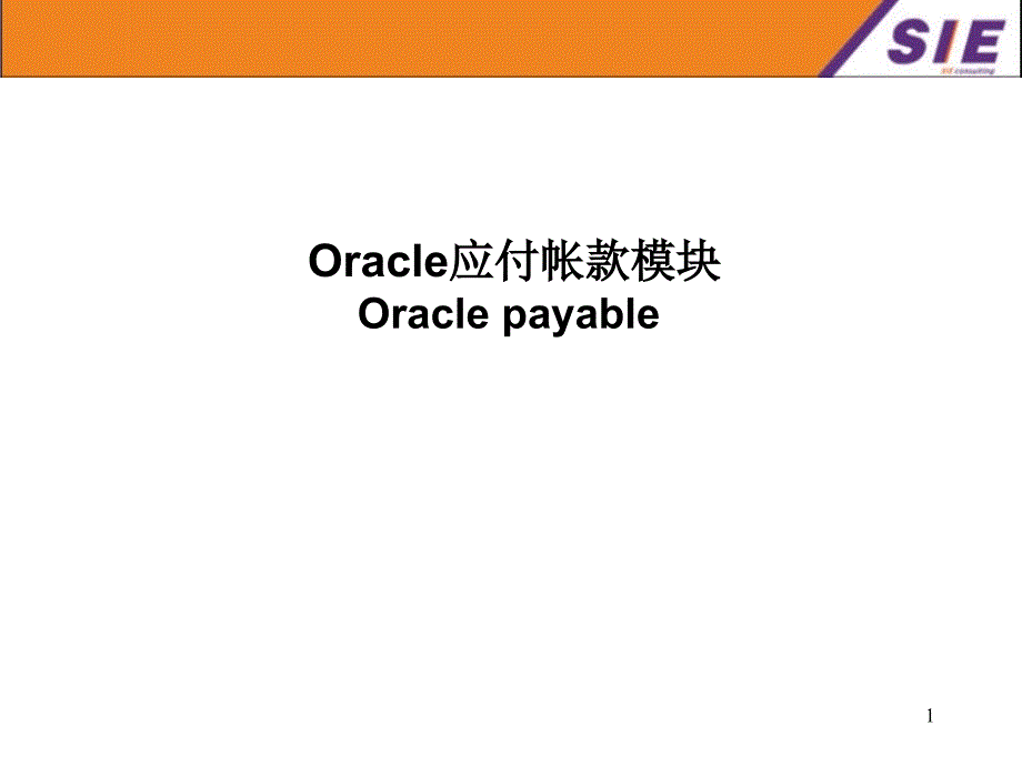 Oracle ERP 培训应付帐款模块_第1页