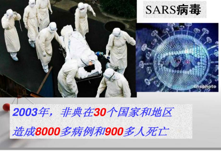 病毒(思维导图）_第1页
