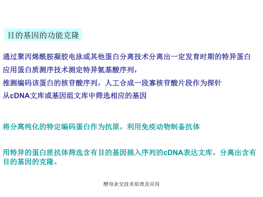 酵母杂交技术原理及应用课件_第2页