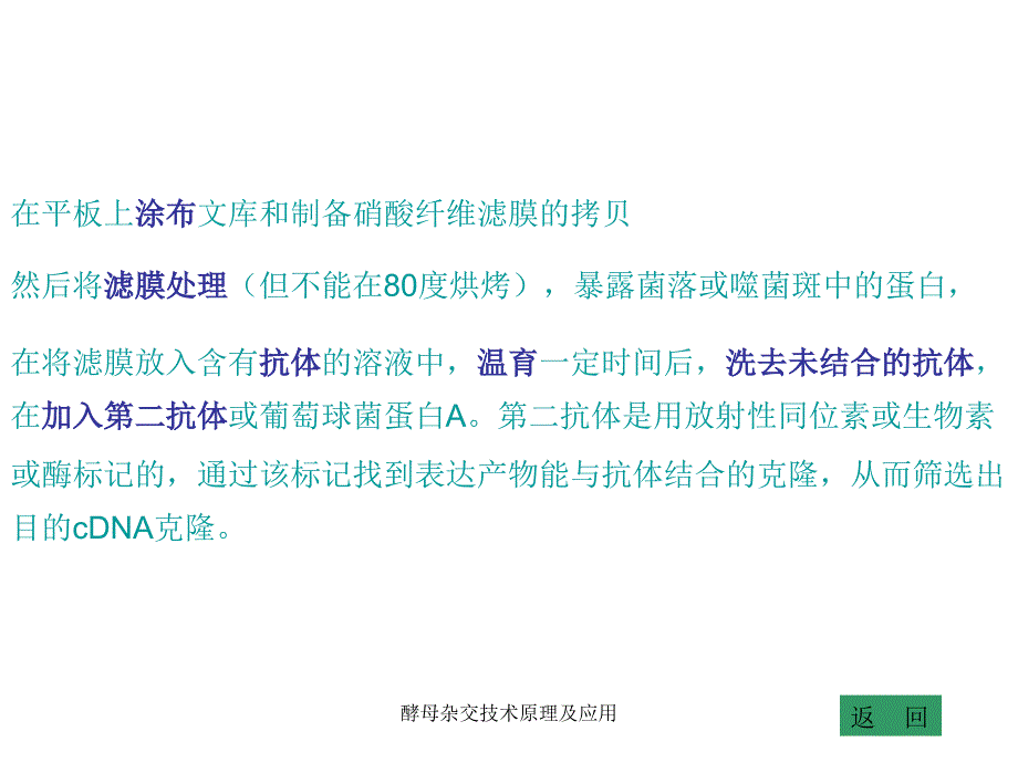 酵母杂交技术原理及应用课件_第3页