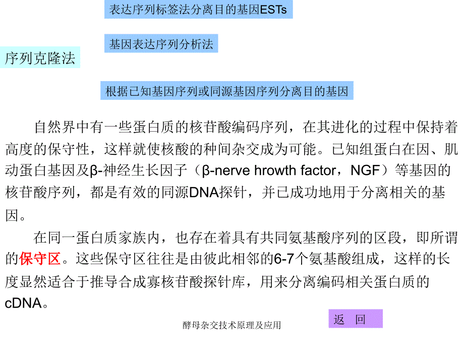 酵母杂交技术原理及应用课件_第4页