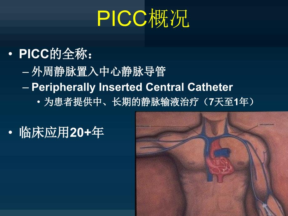 PICC相关的血管解剖及穿刺部位的评估护理_第1页