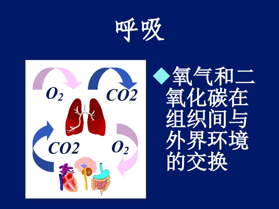 呼吸机波形及其临床意义.ppt_第4页