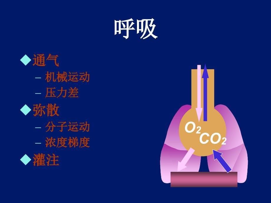 呼吸机波形及其临床意义.ppt_第5页