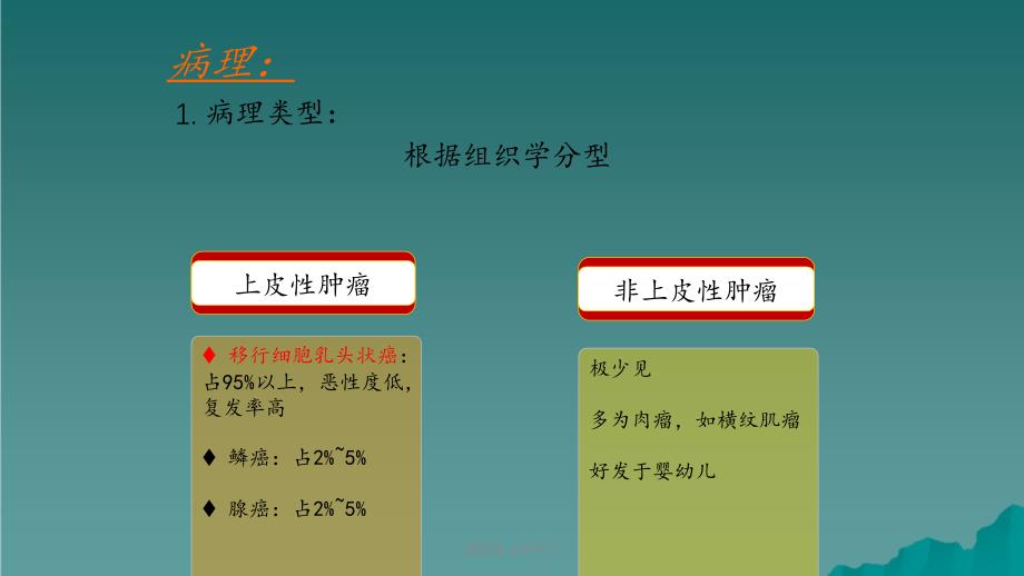 膀胱癌 业务学习课件_第4页