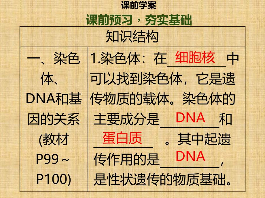 初中八年级生物上册第六单元第20章第2节性状遗传的物质基础习题名师优质课件新版北师大版_第3页