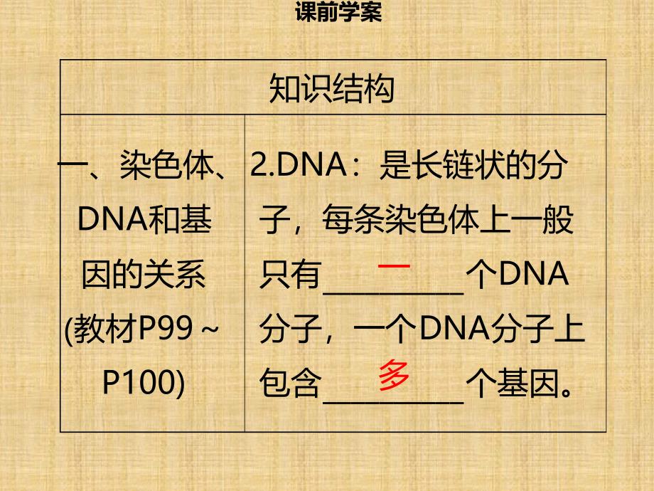 初中八年级生物上册第六单元第20章第2节性状遗传的物质基础习题名师优质课件新版北师大版_第4页