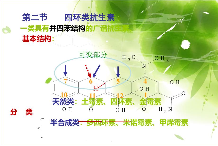 四环素类抗生素概述课件.ppt_第1页