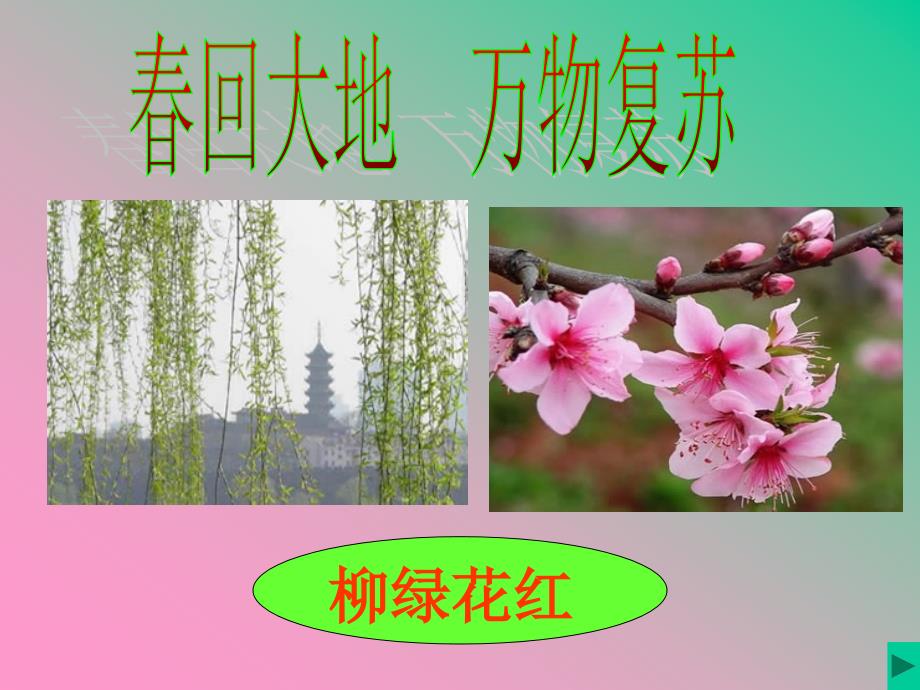 《春雨的色彩》PPT_第3页