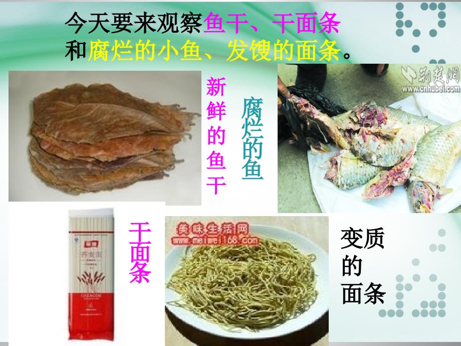 3-6-减慢食物变质的速度_第3页