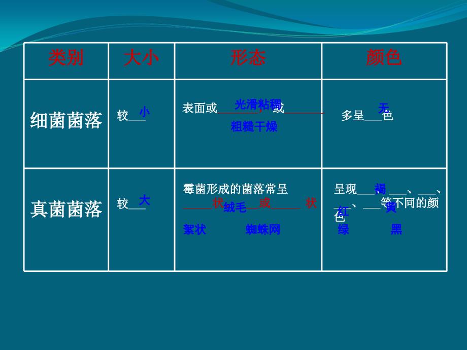 细菌真菌病毒复习_第3页