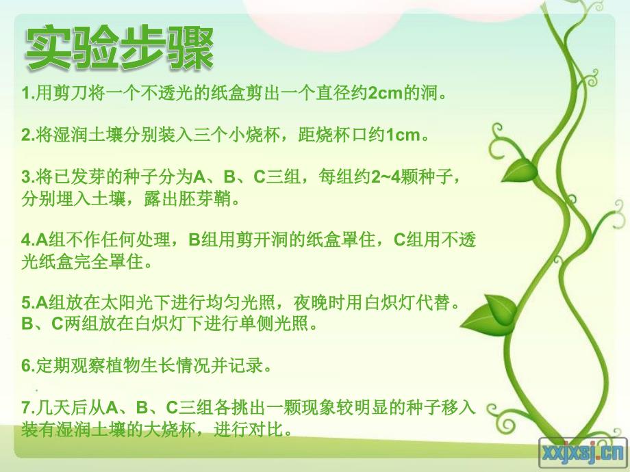 植物向光性实验报告.ppt_第3页