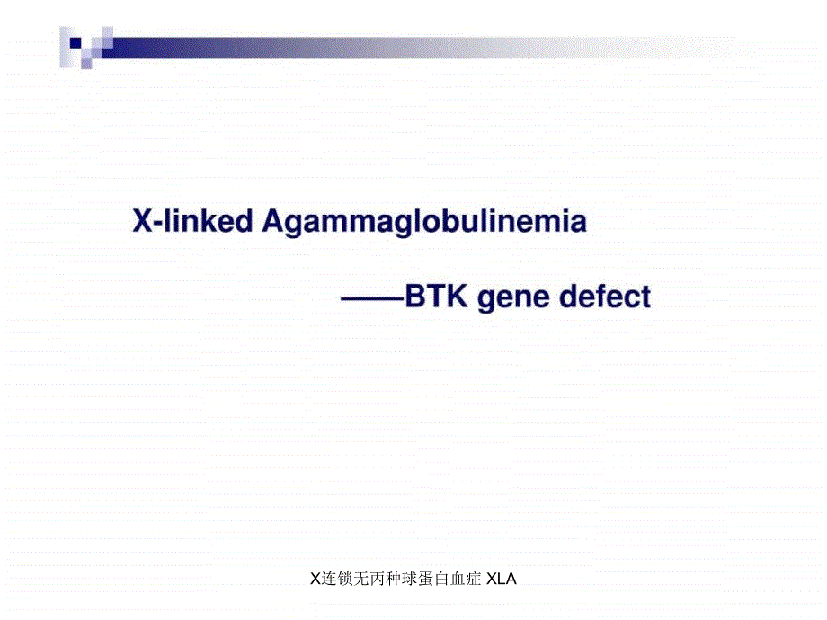 X连锁无丙种球蛋白血症XLA课件_第1页