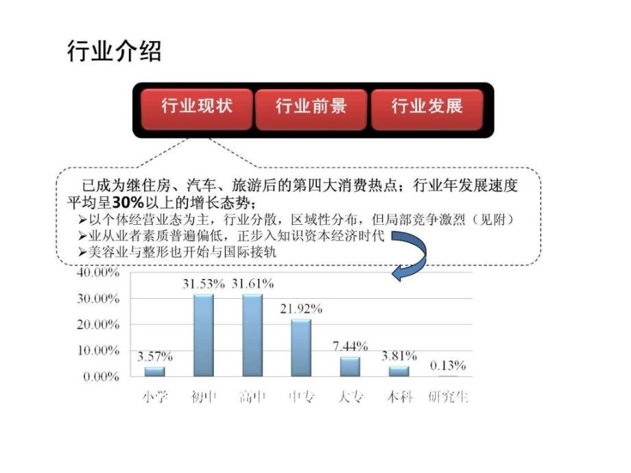 美容行业分析图文.ppt_第2页