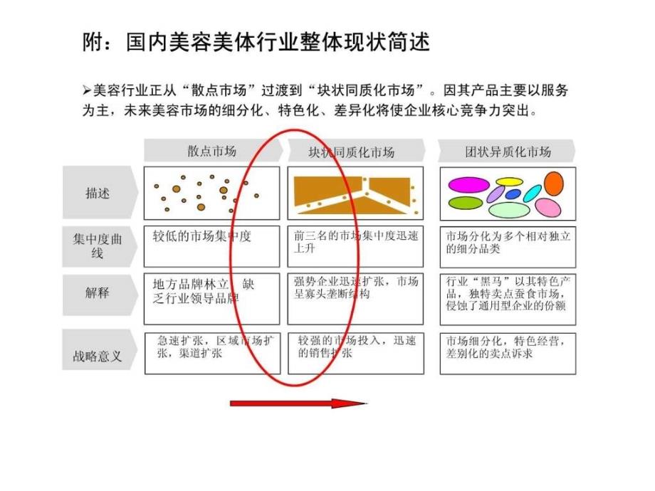 美容行业分析图文.ppt_第3页