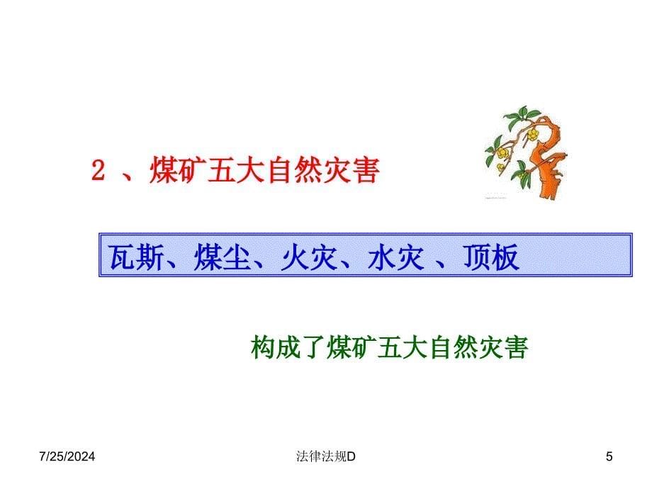 煤矿法律法规E_第5页