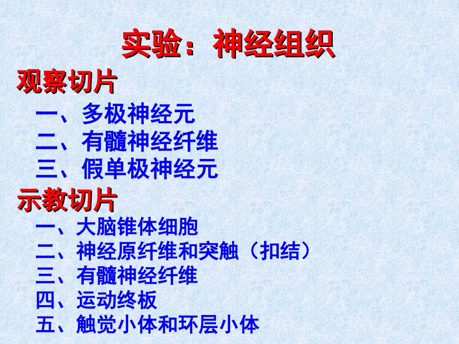 实验神经组织_第1页