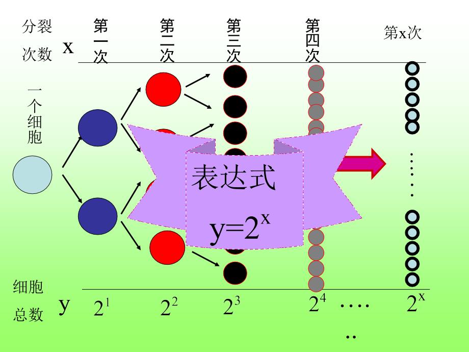 指数函数及其性质(课件)_第3页