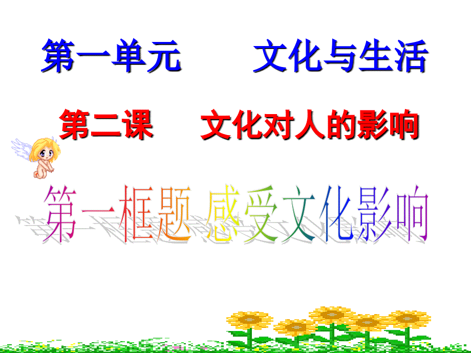 《感受文化影响》PPT课件.ppt_第1页