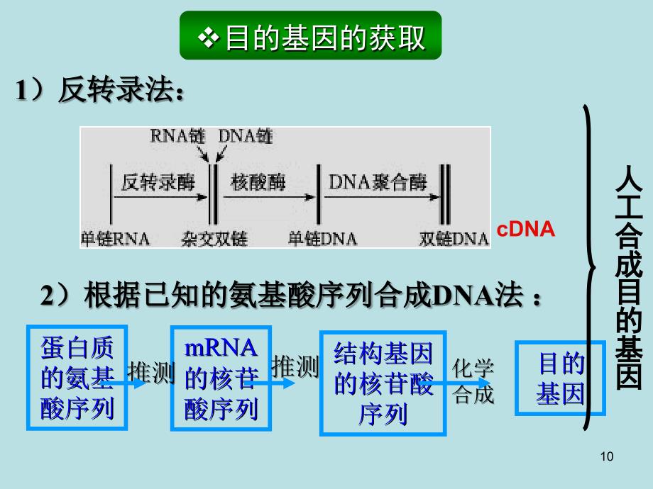 生物基因工程的基本操作程序23课时_第3页