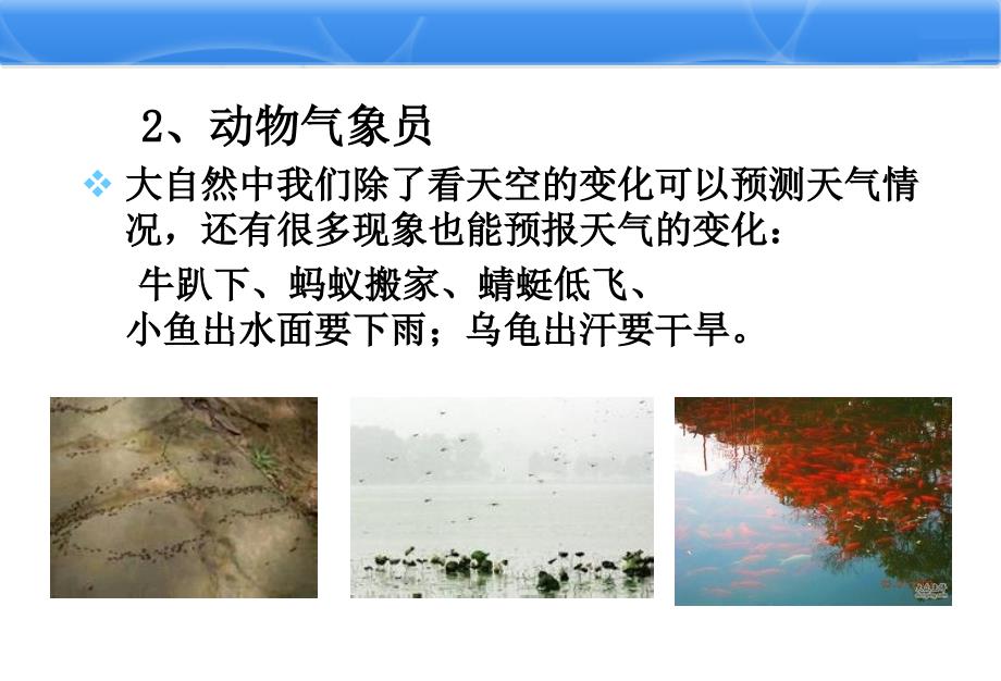 《小小气象员》ppt_第4页