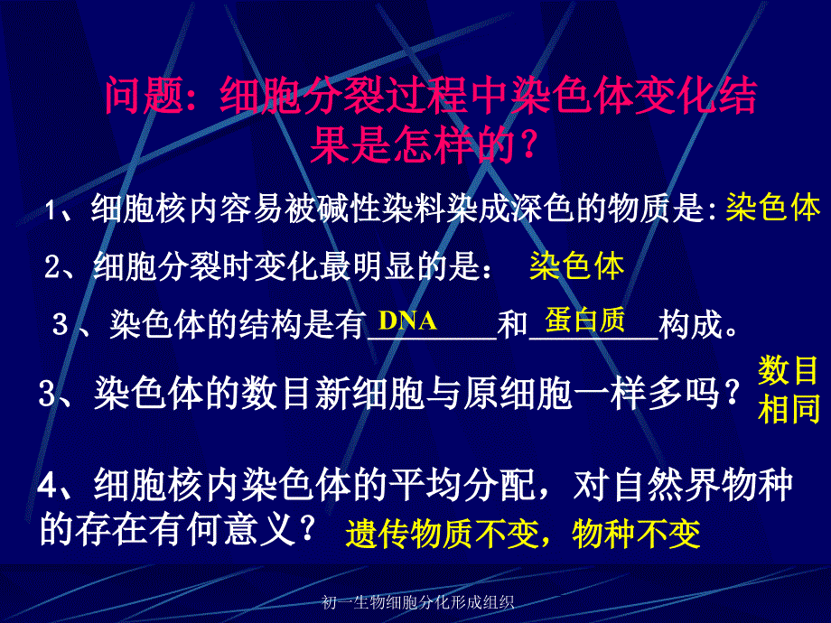 初一生物细胞分化形成组织课件_第4页