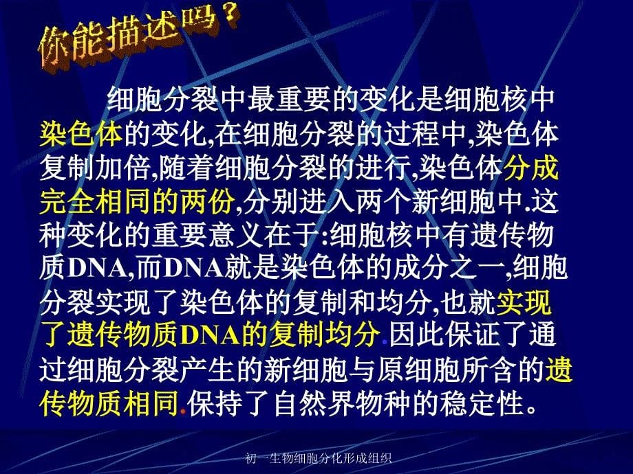 初一生物细胞分化形成组织课件_第5页