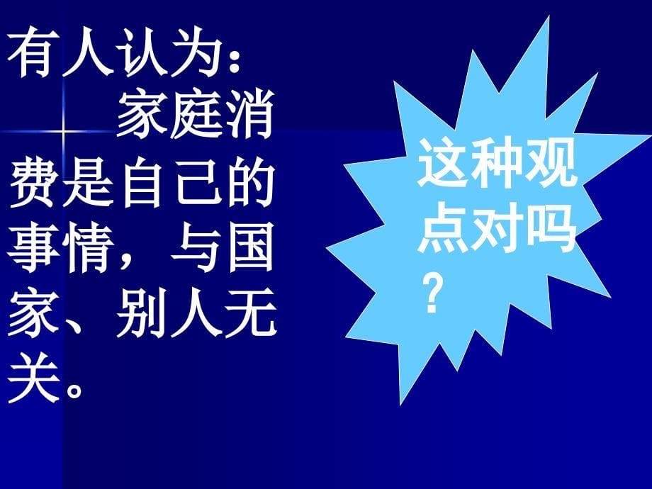 树立正确的消费观_第5页